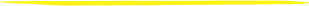 header_bottom_info_line